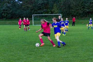 Bild 230 - B-Juniorinnen TSV Gnutz o.W. - SV Wahlstedt : Ergebnis: 1:1